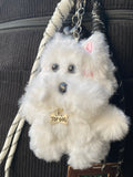 White puppy