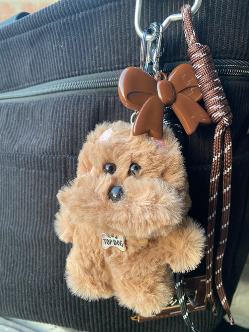 Carmel puppy