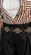 Stardust Belt